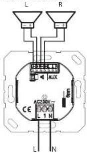 L R AUX AC250V~ CE L 1 N L N