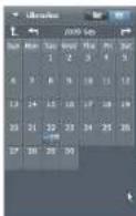 HITACHI DZ-HV584EW - Calendar View - 5