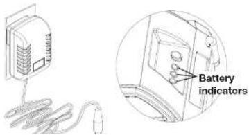 Battery indicators