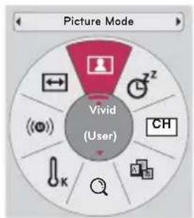 Picture Mode Vivid (User)