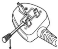 PANASONIC PT-REQ12L - IMPORTANT: THE MOLDED PLUG - 1