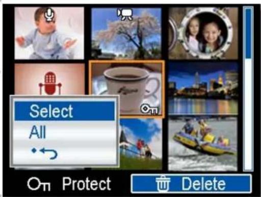 Select All Protect Delete