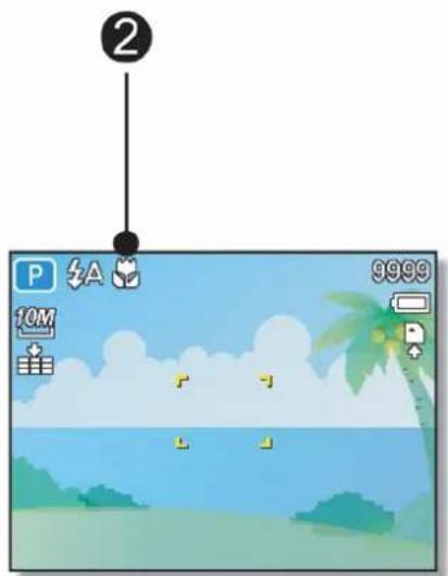 Game interface screenshot showing a beach scene with palm trees, clouds, and a blue sky (no readable text or symbols)