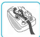 PHILIPS 100WT10P - How to connect a plug - 1