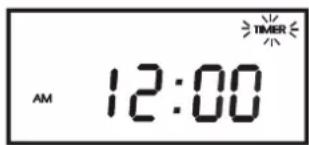 AM 12:00 TIMER