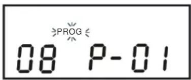 08 P-01
