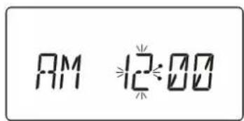 AM 12:00