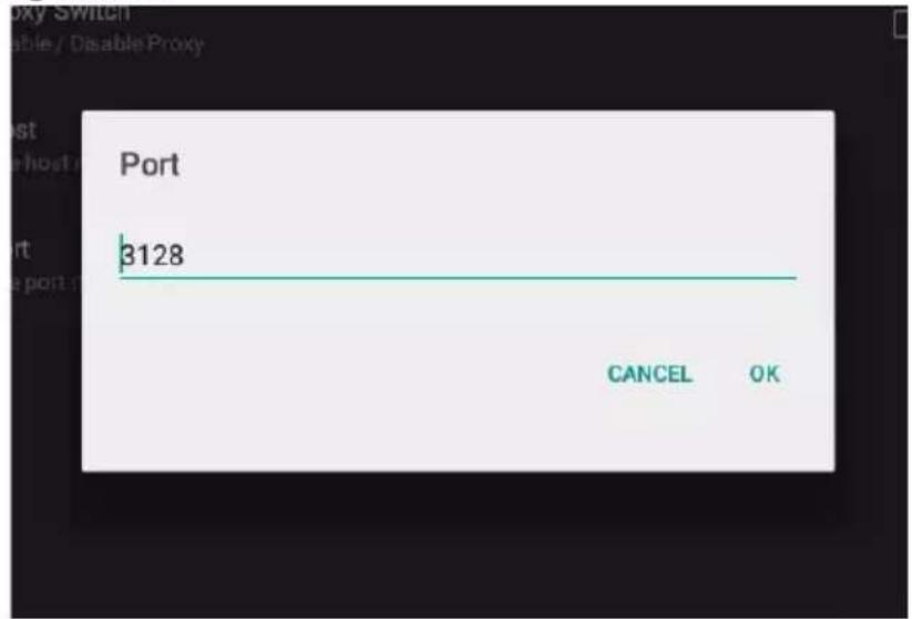 Port 3128 CANCEL OK