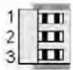 Daytronic 2119-1 - ANALOG OUTPUT OPTION - 3