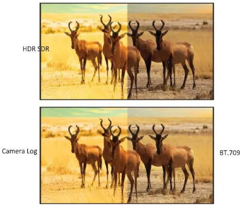 HDR SDR Camera Log BT.709