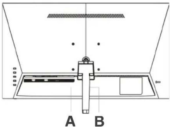 A B