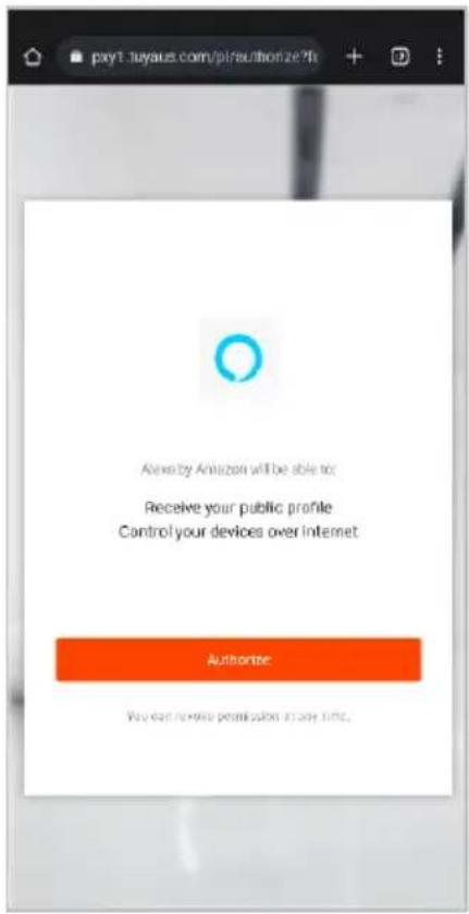 Active by Amazon will be able to: Receive your public profile Control your devices over Internet Authorize You can review permission as any time.