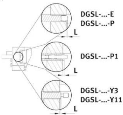 DGSL-...E DGSL-...P L DGSL-...P1 L DGSL-...Y3 DGSL-...Y11 L