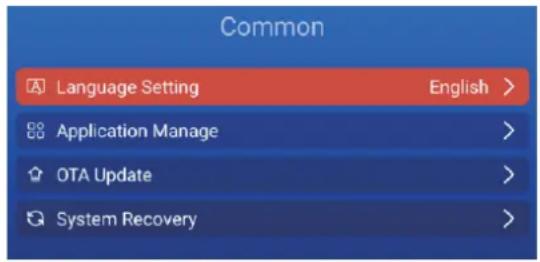 Common Language Setting English > Application Manage > OTA Update > System Recovery >