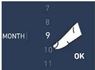 MONTH 7 8 9 10 11 OK