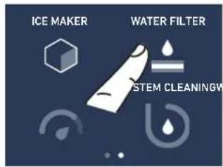 ICE MAKER WATER FILTER SYSTEM CLEANINGW