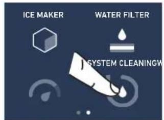 ICE MAKER WATER FILTER SYSTEM CLEANINGW