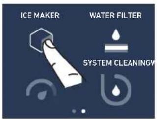 ICE MAKER WATER FILTER SYSTEM CLEANINGW