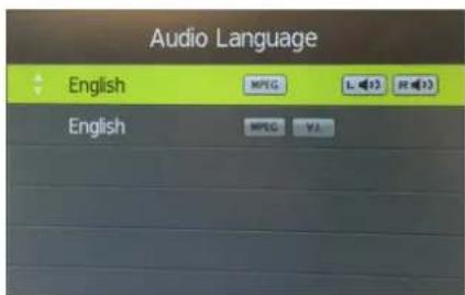 Audio Language English MPEG L 12 RE 13 English MPEG V1