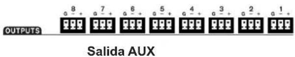 OUTPUTS g 8 + g 7 + g 6 + g 5 + g 4 + g 3 + g 2 + g 1 + Salida AUX
