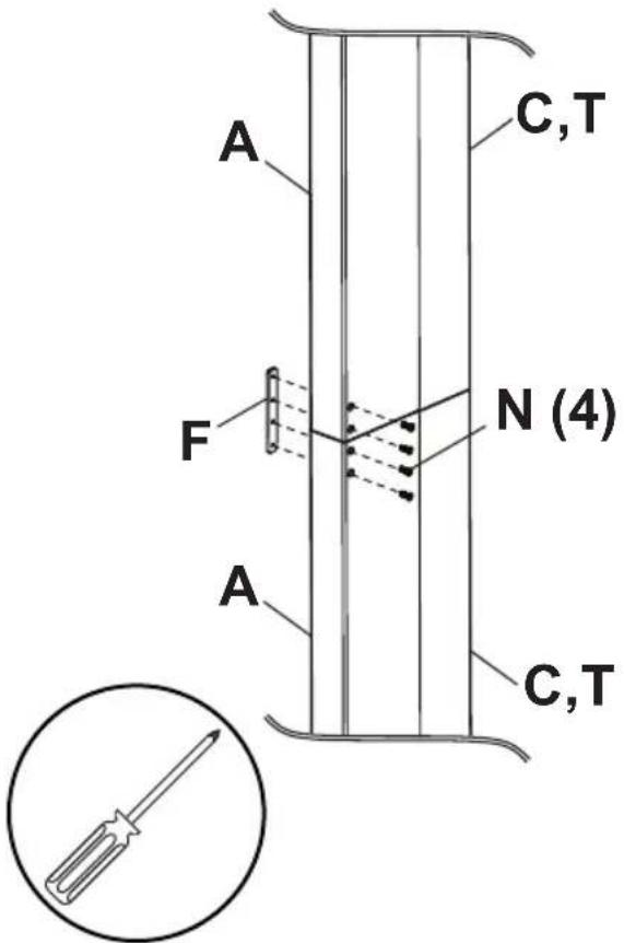 A C,T F N (4) A C,T