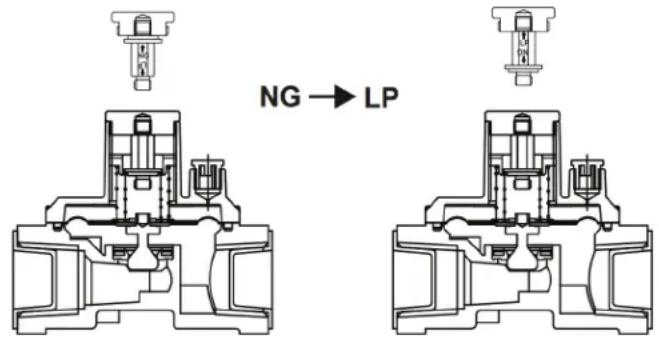 NG → LP