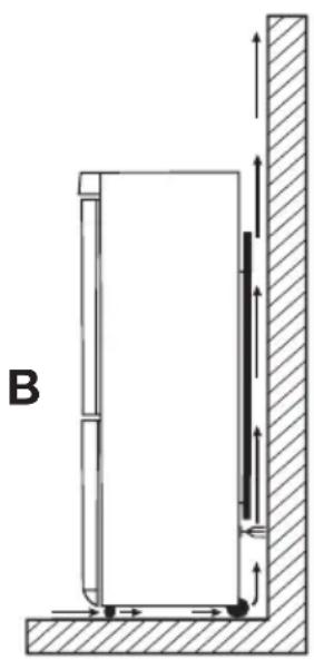 B