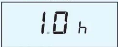 1.0 h