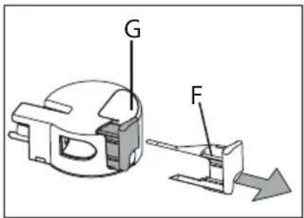 G F