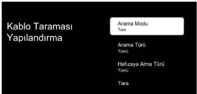 Kablo Taraması Yapılandırma Arama Modu Tam Arama Türü Tümü Hafizaya Alma Türü Tümü Tara