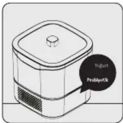 Yogurt Probiyetik