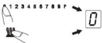 1 2 3 4 5 6 7 8 9 P 0