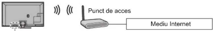 Punct de acces Mediu Internet