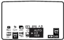 REC 6.9 AUTO 4:3 16:9 10:3 10:4