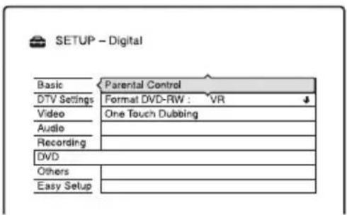 SETUP - Digital Basic Parental Control DTV Settings Format DVD-RW : VR Video One Touch Dubbing Audio Recording DVD Others Easy Setup