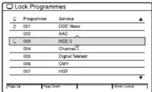 Lock Programmes Programme Service 001 DDE News 002 AAC 003 NCE 5 004 Channel 005 Digital Telelex 006 CMY 007 HGF Pages Up Page Draw Show Locked