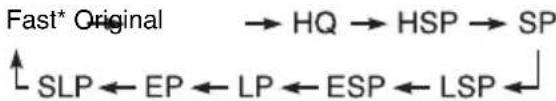 Fast* Original → HQ → HSP → SP ↑ SLP ← EP ← LP ← ESP ← LSP ←