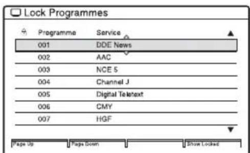 Lock Programmes Programme Service 001 DDE News 002 AAC 003 NCE 5 004 Channel J 005 Digital Teletext 006 CMY 007 HGF Page Up Page Down Show Locked