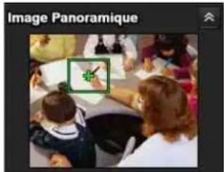 SONY SNC-CH110 - Panneau du panorama - 1