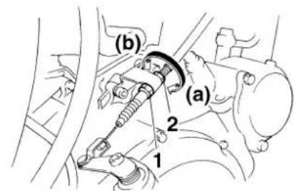 (b) (a) 2 1