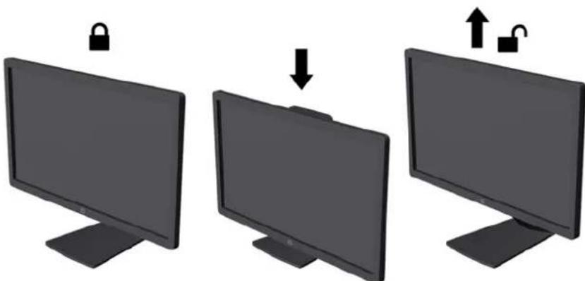 HP EliteDisplay E231 - Réglage du moniteur - 5