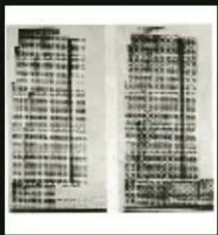 Scanned document pages with dense Chinese text, likely a formal letter or official record