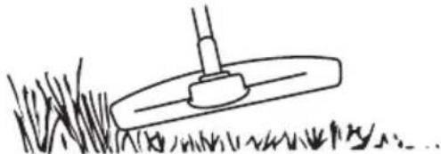 Simple line drawing of a grassy field with a small shrub and a tool, no text or symbols present.
