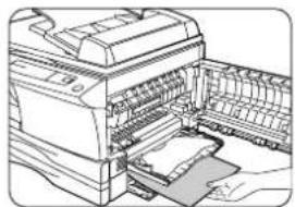 SHARP AL-1043 - C Papierstau im Transportbereich - 5