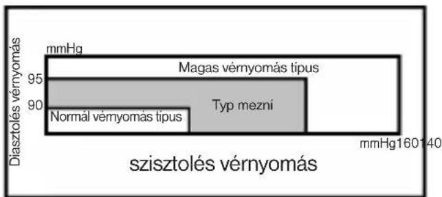 AEG BMG 4907 - A WHO vérnyomás-osztályozása - 1