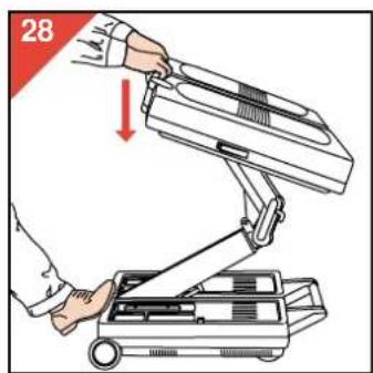 28