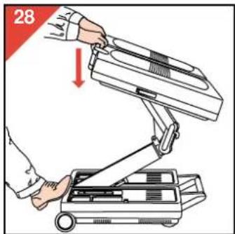 28