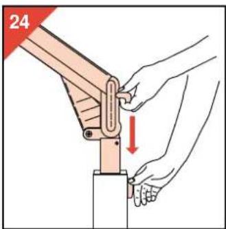 24