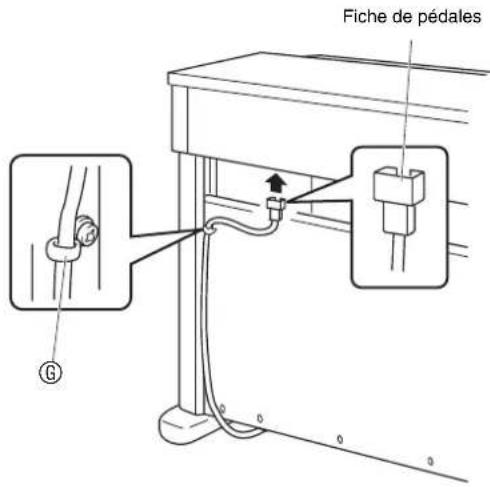 Fiche de pédales G