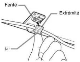 Fente Extrémité (a)